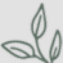 Plant-Based RD Blog